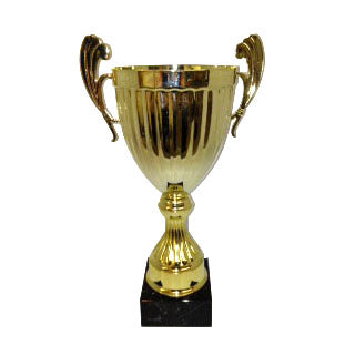 Gold Metal Trophy Cup