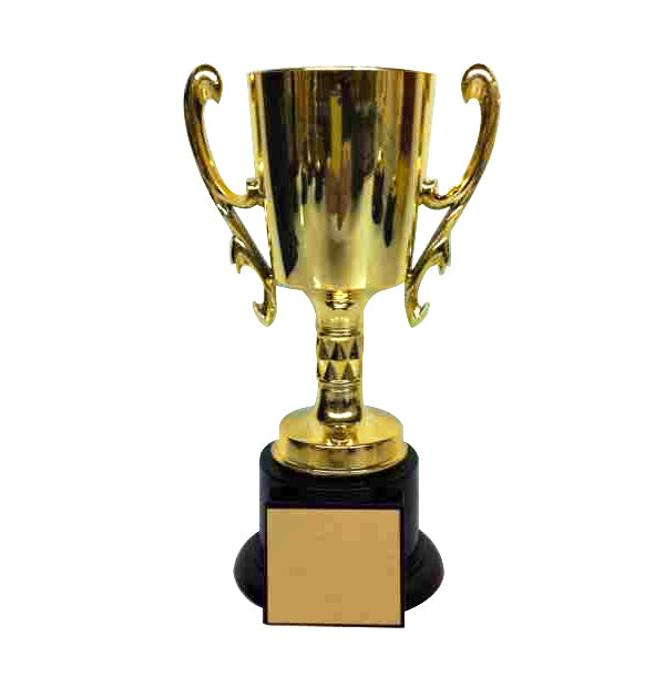 Gold Trophy Cup on Plastic Base