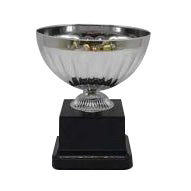 Silver Trophy Bowl