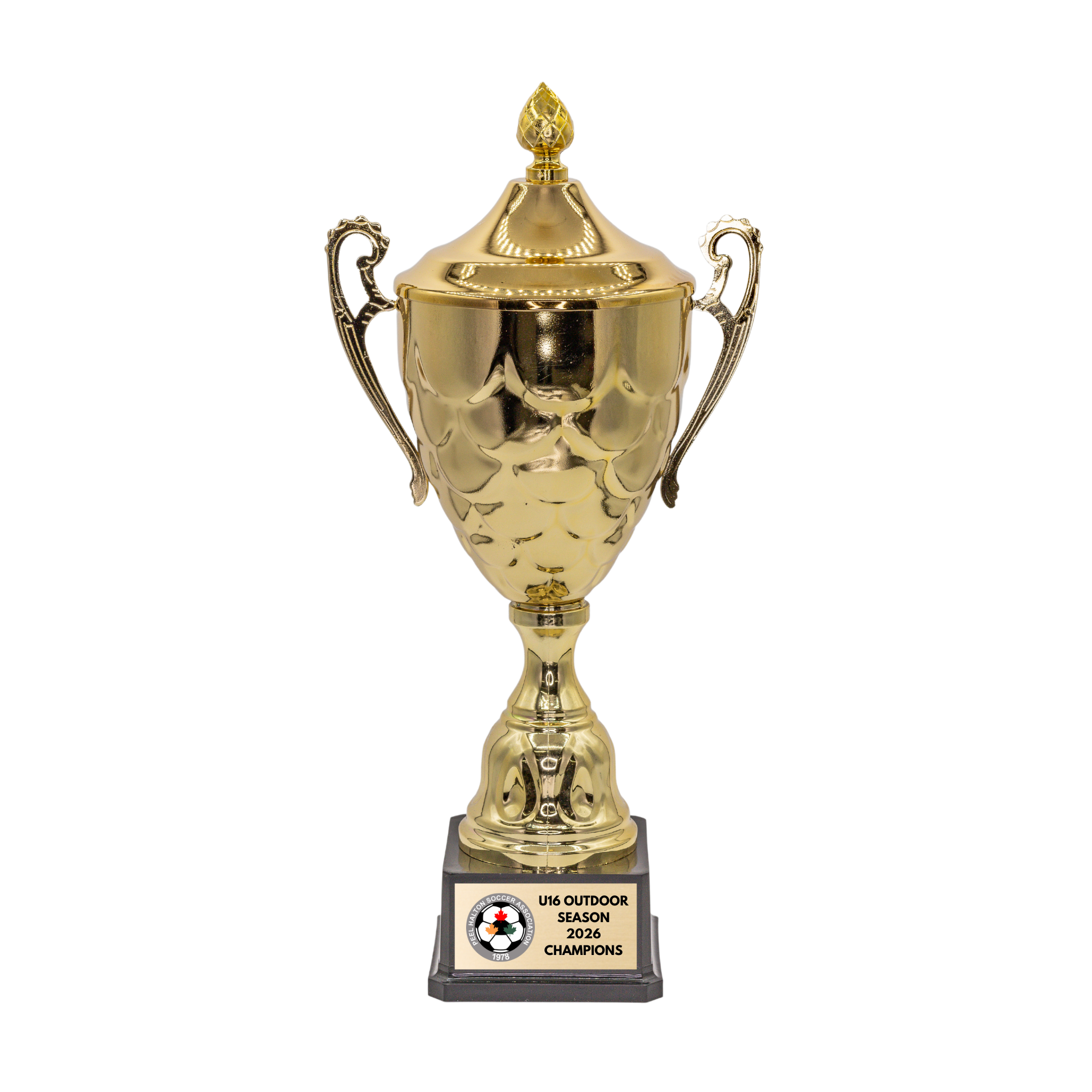 Metal Trophy Cup