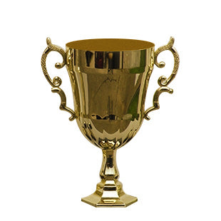 Gold Trophy Cup