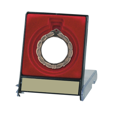 Medal Award Display - - Nothers