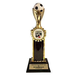 Trophy with Spinner Soccer Ball