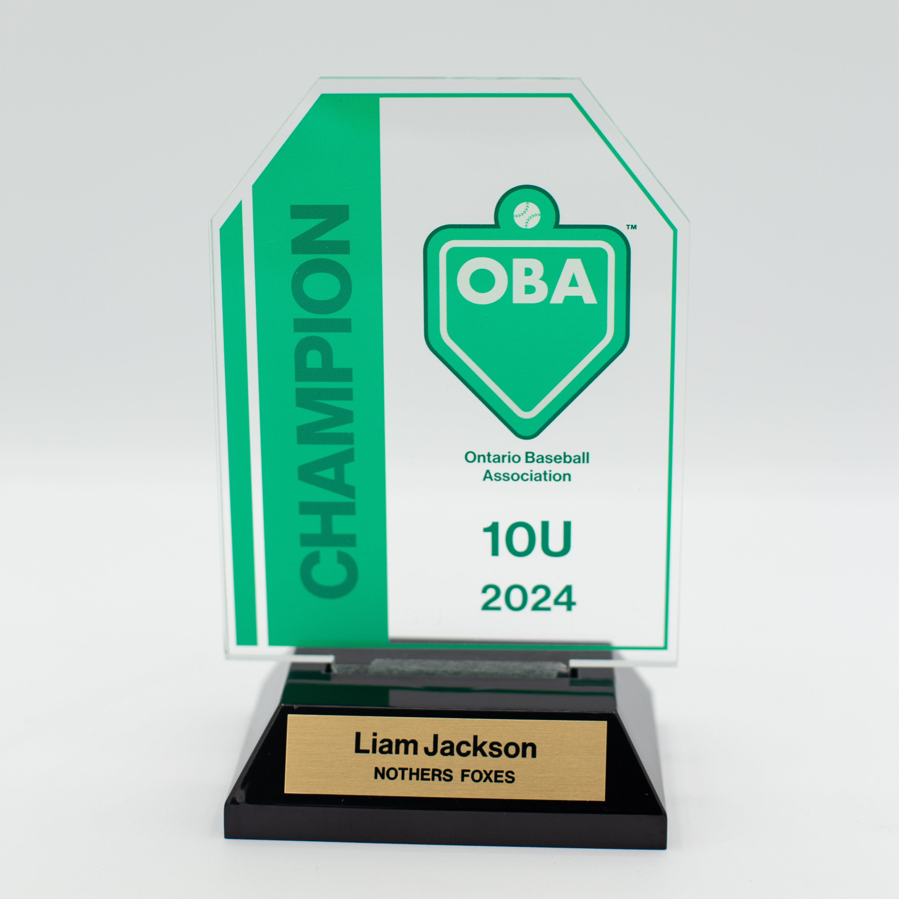 Portrait Acrylic Award - Custom Designed