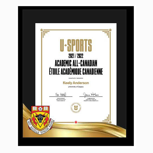 Framed Award Certificate
