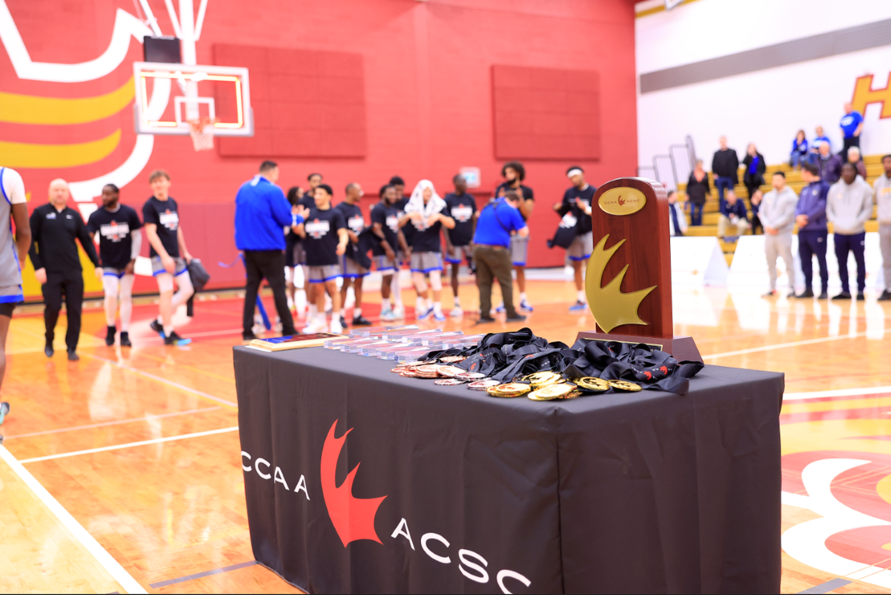 Nothers the Awards Store Custom Sports Awards