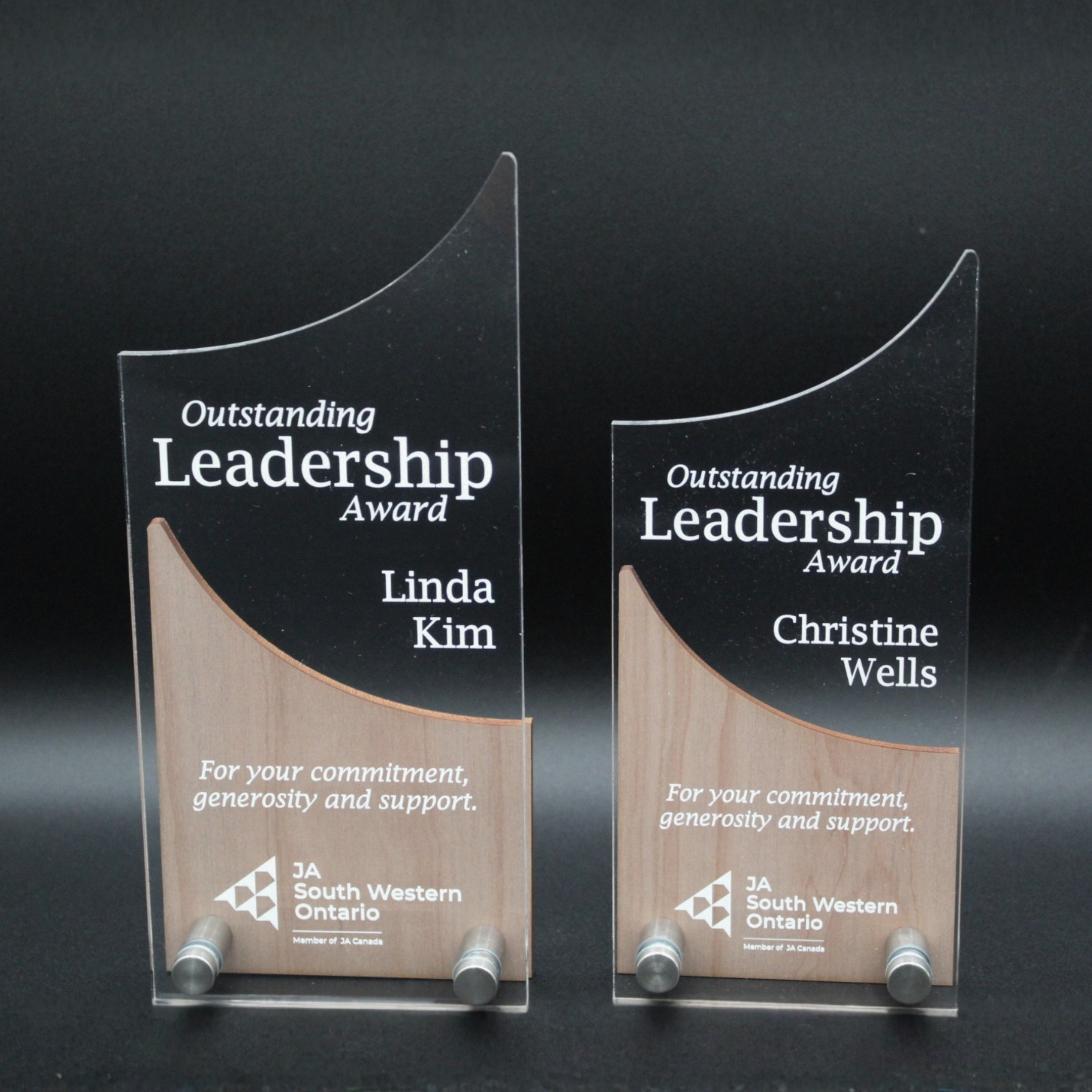 Apex Series - Acrylic Awards - Curvilinear - CACRAPX002 - Nothers The Award Store