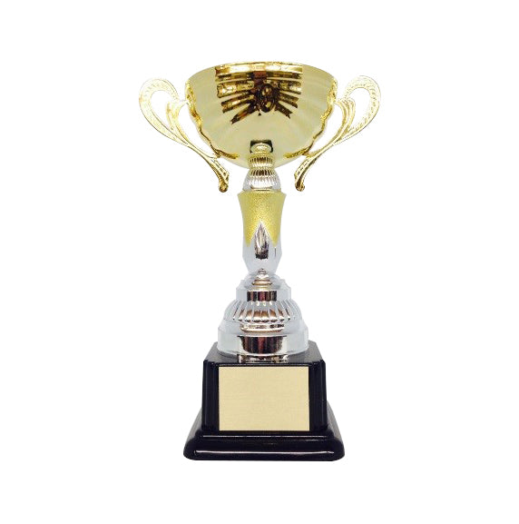 Gold and Silver Trophy Cup - - Nothers