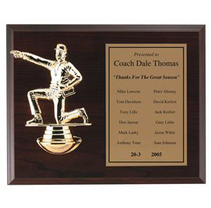 Laminate Award Plaque with Figure and Plate - - Nothers