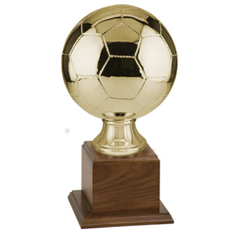 Gold "Official Size" Soccer Ball