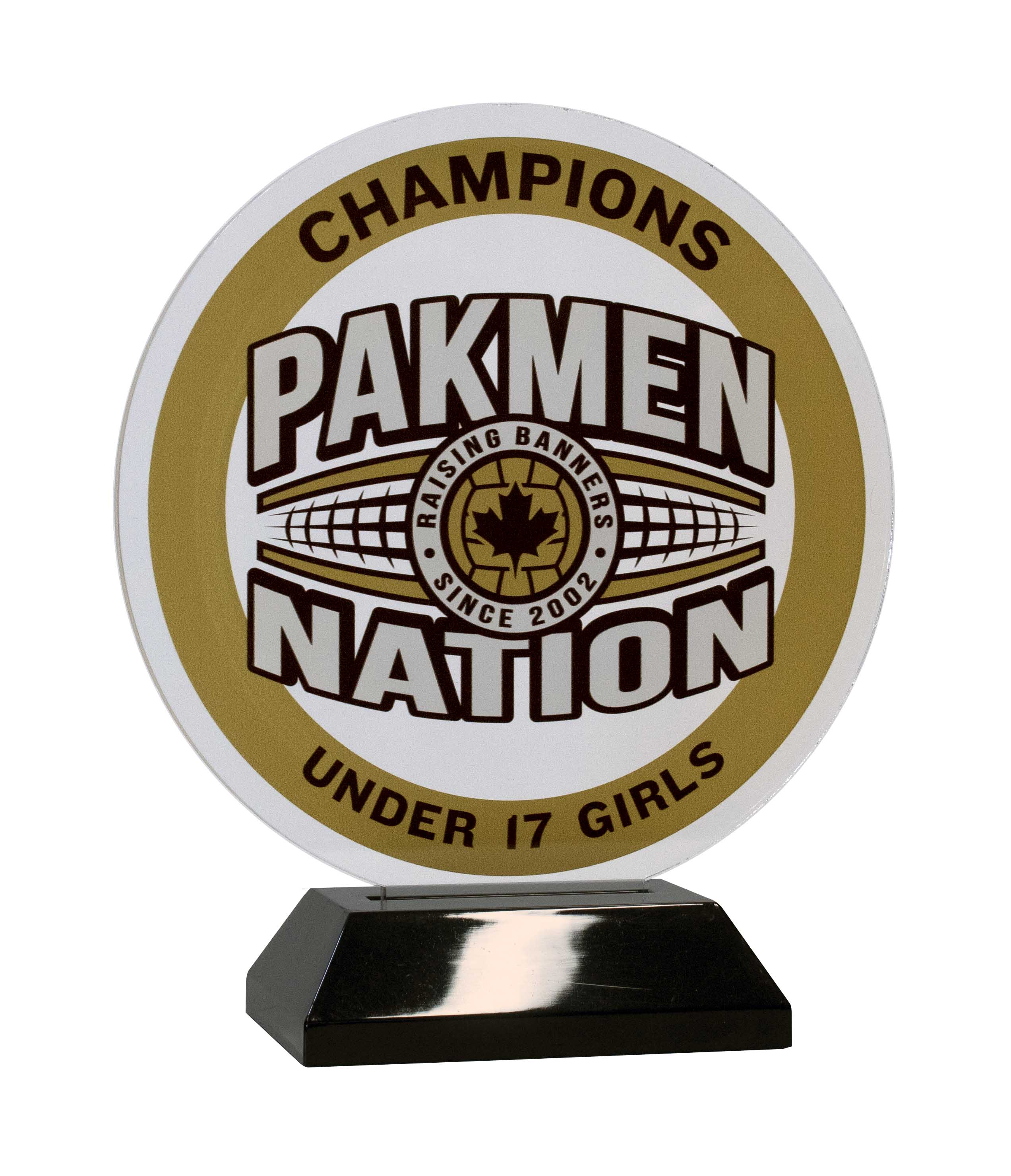 Custom Cut Acrylic Circle Award Custom cut acrylic circle award
